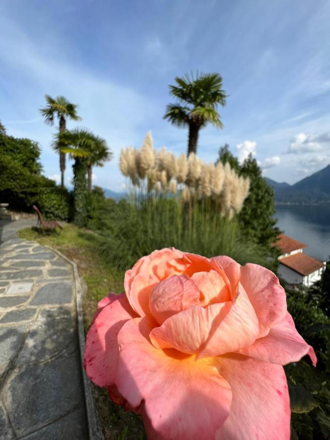 Frankie'S House Bed & Breakfast Ghiffa Dış mekan fotoğraf